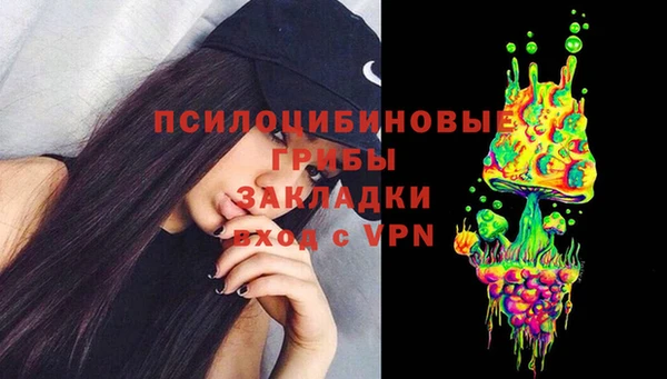 тгк Алексин
